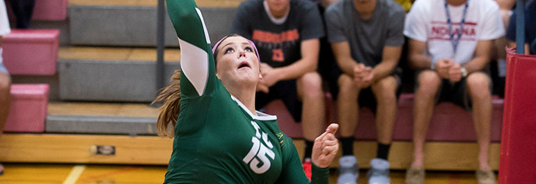 Dragons steal five set victory
