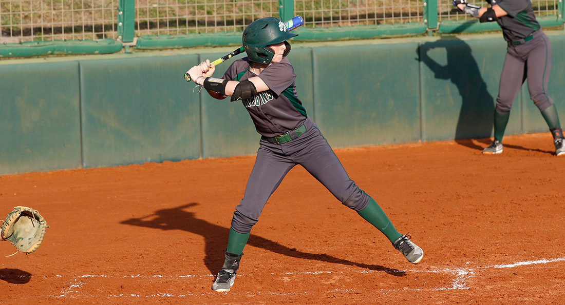 Tiffin University fell in two games at Florida Tech 15-2 and 5-4.