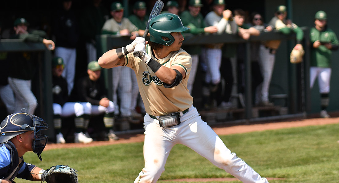 Tiffin University fell in a doubleheader to Northwood.