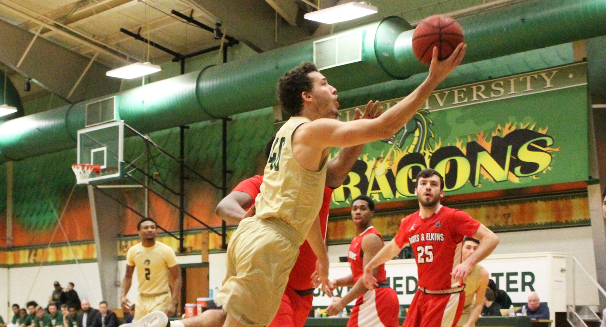 Career Night From Schmalz Leads Dragons to Victory