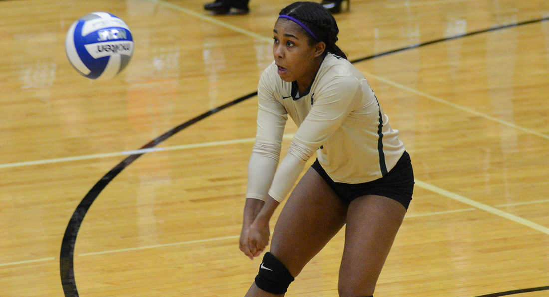 Taylor Lattimore eclipsed 2,000 career digs, collecting 14 against Wayne State.